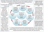 COVID-19 Epidemic Spread and the Impact on Public Health & Safety Policy: An Analysis of the Adoption of Preventive Measures and Effective ...