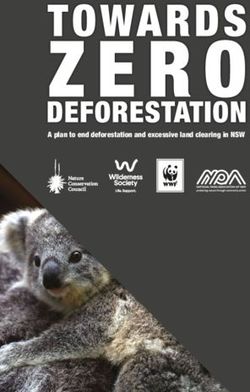 A plan to end deforestation and excessive land clearing in NSW