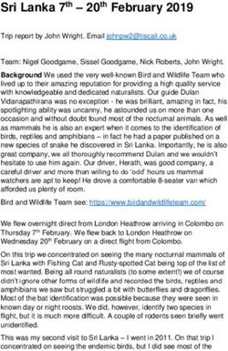 Sri Lanka 7th - 20th February 2019 - Mammal Watching
