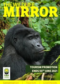 MIRROR - TOURISM PROMOTION ENDS 30TH JUNE 2021 - Keeping you informed