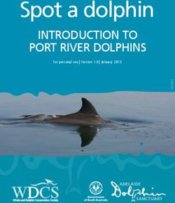 SPOT A DOLPHIN INTRODUCTION TO PORT RIVER DOLPHINS