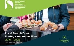 Local Food & Drink Strategy and Action Plan 2019 - 2025 - Derry City ...