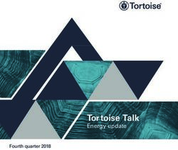 Tortoise Talk Energy update - Fourth quarter 2018 - Tortoise Capital Advisors