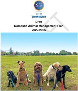 Draft Domestic Animal Management Plan 2022-2025