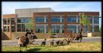 2022-2025 Implementation Plan - For the 2020-2025 Climate Action Plan City of Bowie
