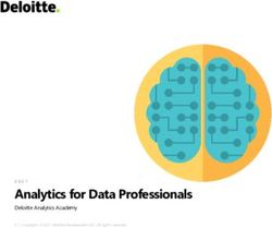 Analytics for Data Professionals - Deloitte