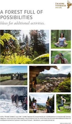 A FOREST FULL OF POSSIBILITIES - Ideas for additional activities.