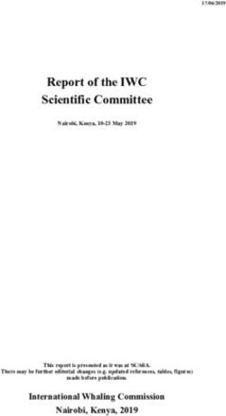 Report of the IWC Scientific Committee - Ministry of Foreign ...