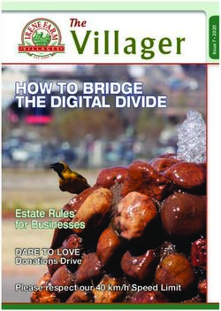 Villager HOW TO BRIDGE THE DIGITAL DIVIDE - The - Now Media