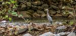 This is Lynchburg Virginia - visitlynchburgva visitLYH lynchburgva