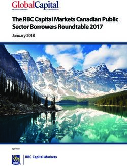 The RBC Capital Markets Canadian Public Sector Borrowers Roundtable 2017 - January 2018