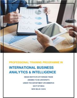 INTERNATIONAL BUSINESS ANALYTICS & INTELLIGENCE - PROFESSIONAL TRAINING PROGRAMME IN