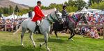 ACRES OF INGENUITY EQUESTRIAN SCHEDULE 2020 - Wanaka A&P Show