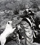 ACRES OF INGENUITY EQUESTRIAN SCHEDULE 2020 - Wanaka A&P Show