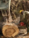 MINUTEMAN Operation Wind Debris Record Wildfire Season - Utah National Guard