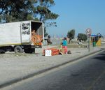 THE STATE OF URBAN FOOD INSECURITY IN CAPE TOWN - Jane Battersby - REFERENCE