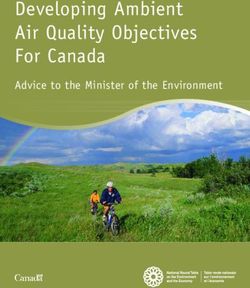 Developing Ambient Air Quality Objectives For Canada - Advice to the Minister of the Environment