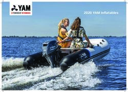 2020 YAM Inflatables - Yamaha Motor