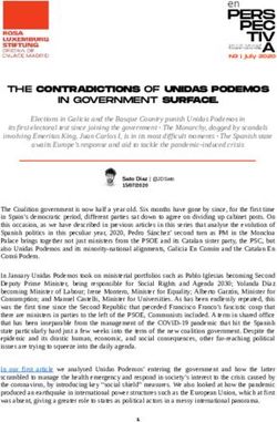 THE CONTRADICTIONS OF UNIDAS PODEMOS IN GOVERNMENT SURFACE.