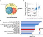 A genome wide CRISPR/Cas9 screen to identify phagocytosis modulators in monocytic THP 1 cells