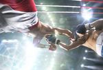 THE NEW CONTENDERS - Alternative payment networks step up to the challenge - Cards International