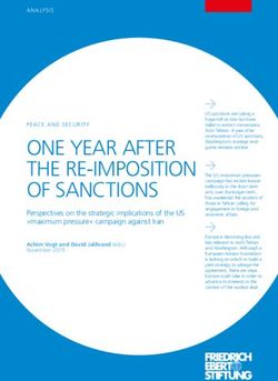 ONE YEAR AFTER THE RE-IMPOSITION OF SANCTIONS - Bibliothek der ...