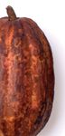 Improving livelihoods for cocoa farmers and their communities - Cargill
