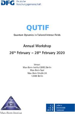Annual Workshop 26th February - 28th February 2020 - Max-Born-Institut
