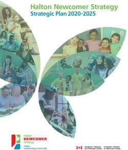 Halton Newcomer Strategy - Strategic Plan 2020-2025 - Welcome to Halton