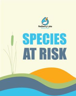 AT RISK SPECIES - Red Berry Lake
