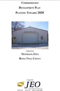 PLANNING TOWARDS 2028 - DEVELOPMENT PLAN COMPREHENSIVE - Buena Vista County