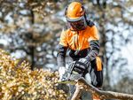 WILDFIRE MITIGATION AND VEGETATION MANAGEMENT - How Public Policy Can Reduce the Risk of Wildfires in Colorado