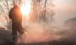 WILDFIRE MITIGATION AND VEGETATION MANAGEMENT - How Public Policy Can Reduce the Risk of Wildfires in Colorado