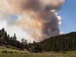 WILDFIRE MITIGATION AND VEGETATION MANAGEMENT - How Public Policy Can Reduce the Risk of Wildfires in Colorado