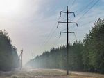 WILDFIRE MITIGATION AND VEGETATION MANAGEMENT - How Public Policy Can Reduce the Risk of Wildfires in Colorado
