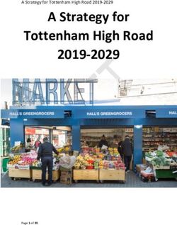 A Strategy for Tottenham High Road 2019-2029 - A Strategy for Tottenham High Road 2019-2029 - Meetings, agendas ...