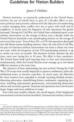 Guidelines for Nation Builders - James F. Dobbins