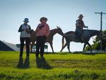 Prism - Queensland Camera Group