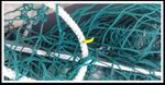 Club Night: February 19th, start time of 7:30 p.m - Canterbury Anglers Club