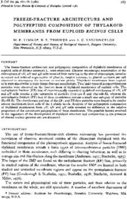 FREEZE-FRACTURE ARCHITECTURE AND POLYPEPTIDE COMPOSITION OF THYLAKOID MEMBRANES FROM EUPLOID RICINUS CELLS