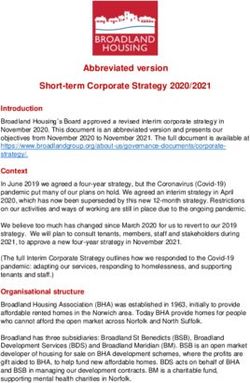 Abbreviated version Short-term Corporate Strategy 2020/2021