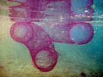 Maldives Diamondback Squid Management Plan 2020 - AUGUST 2020 DRAFT Ministry of Fisheries, Marine Resources & Agriculture Mal&eacute;, Maldives - GOV.MV