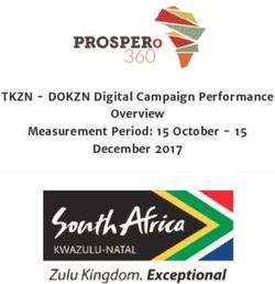 TKZN - DOKZN Digital Campaign Performance Overview Measurement Period: 15 October - 15 December 2017 - DOKZN Digital Campaign Performance Overview ...