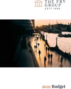 2021 Budget - The Fry Group