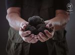 EARTH'S TREASURES THE SLEEPY TOWN OF SAVIGNO ATTRACTS HUNDREDS OF FOOD LOVERS EVERY OCTOBER FOR ITS PRECIOUS TRUFFLE FESTIVAL.