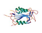 Early Peritoneal CC Chemokine Production Correlates with Divergent Inflammatory Phenotypes and Susceptibility to Experimental Arthritis in Mice