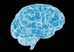 SELC SOCIAL x EMOTIONAL & LEARNING COMPETENCY - SUM!