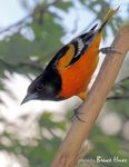 BACKYARD nature center - News