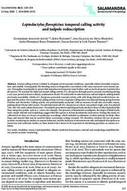 Leptodactylus flavopictus: temporal calling activity - Salamandra