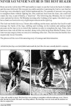 NEVER SAY NEVER! NATURE IS THE BEST HEALER - Freyja Stud